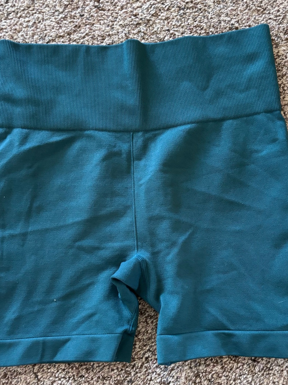 ZYIA Active Ribbed Waistband Shorts - Teal Blue